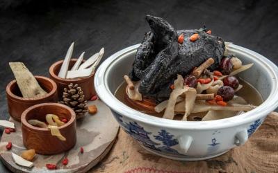 Công Ty VIFOOD – Cung Cấp Gà Ác Tươi Giá Sỉ Tại TP.HCM