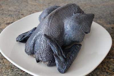 Mua Gà Ác Tươi Ở Đâu Sạch Giá Tốt