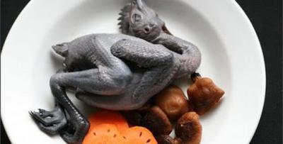 Thịt gà ác có bổ dưỡng không?